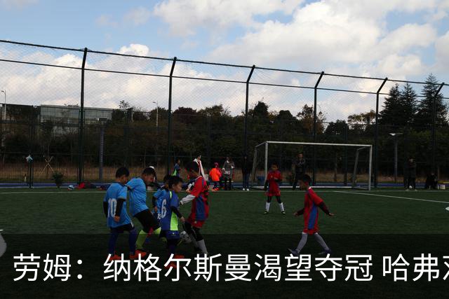 劳姆：纳格尔斯曼渴望夺冠 哈弗茨一直是我们非常重要的球员